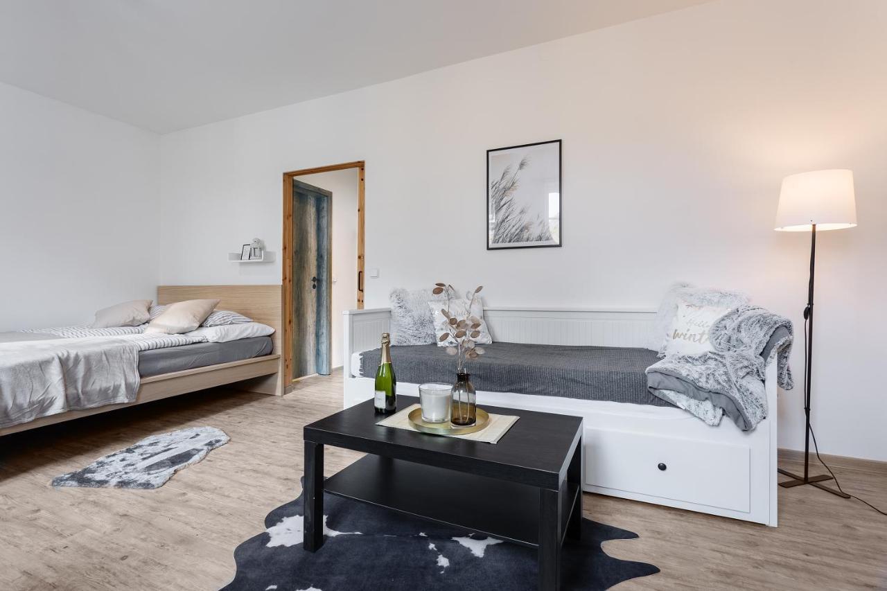 Vlevo Dole Koko Apartment Rokytnice nad Jizerou Zewnętrze zdjęcie
